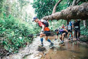 BIB: 
                            <button type="button" onclick="openModal(25374036)" class="btn btn-primary btn-sm float-right btn-popup" data-toggle="modal" data-target=".modal-high-quality">
                        <i class="fas fa-shopping-cart"></i> Add to Cart
                    </button>
                                            <button type="button" onclick="isThisMe(25374036, true)" class="btn btn-success btn-sm float-right btn-popup btn-isme hidden" data-toggle="tooltip" data-placement="bottom" title="นี่คือรูปของคุณใช่ไหม คลิกที่นี่เพื่อเอาเข้าอัลบั้ม">
                        <i class="fas fa-plus"></i> Add to album
                    </button>
                    <button type="button" onclick="isThisMe(25374036, false)" class="btn btn-warning btn-sm float-right btn-popup btn-isnotme hidden">
                        <i class="fas fa-ban"></i> Remove from album
                    </button>